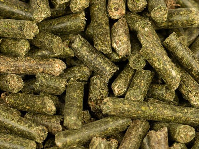 ALFALFA 25KG