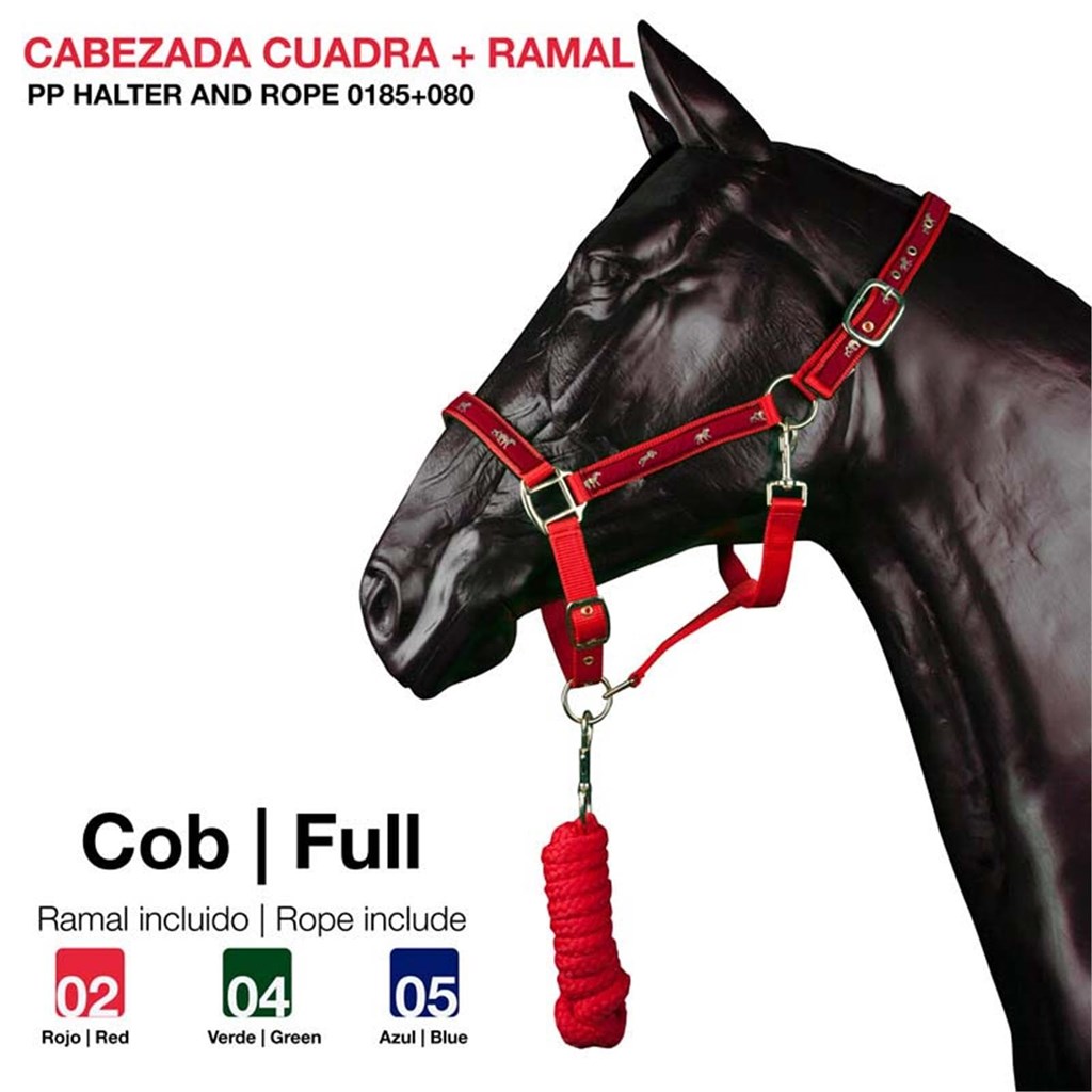 Foto 1 CABEZADA CUADRA + RAMAL PP