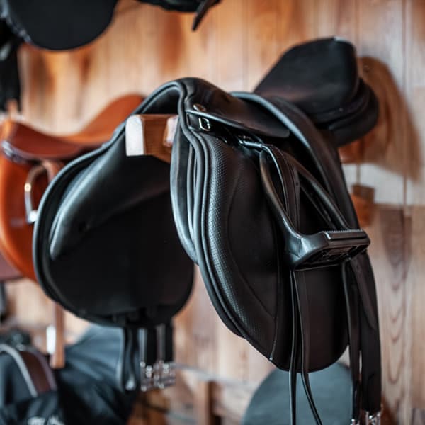 Tienda de hípica en Ferrol