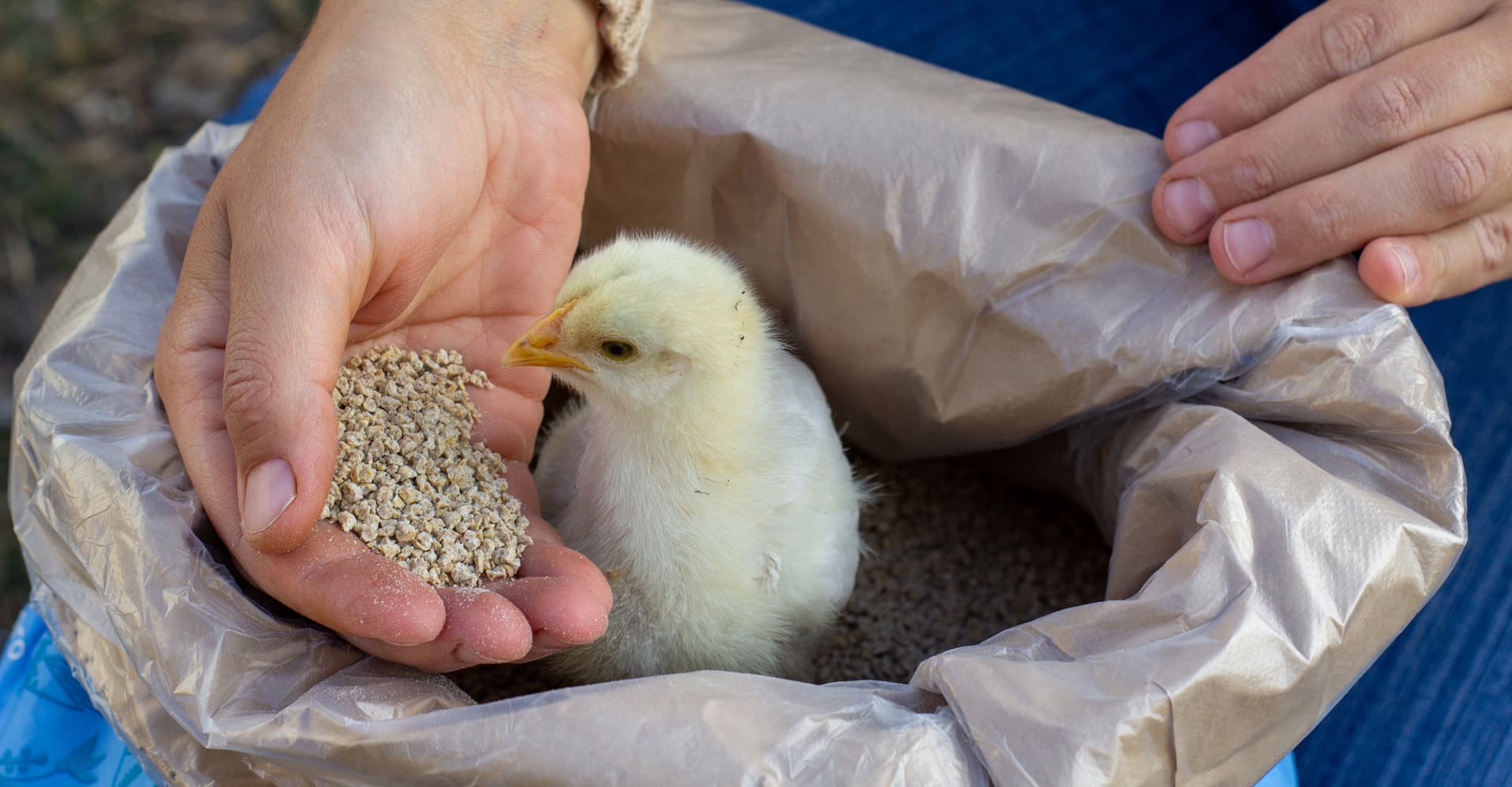 Tienda de piensos en Ferrol