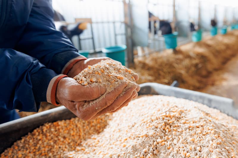 Venta de piensos en Ferrol