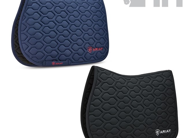 MANTILLA ARIAT EVOLVE