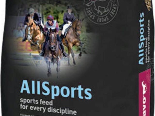 Pavo AllSports