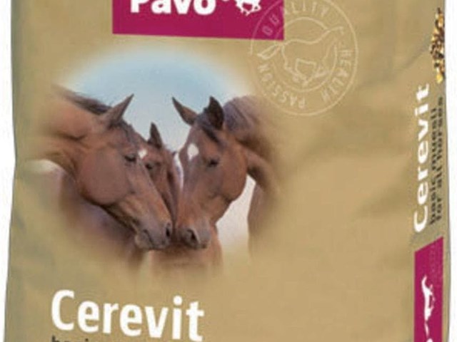 Pavo Cerevit 