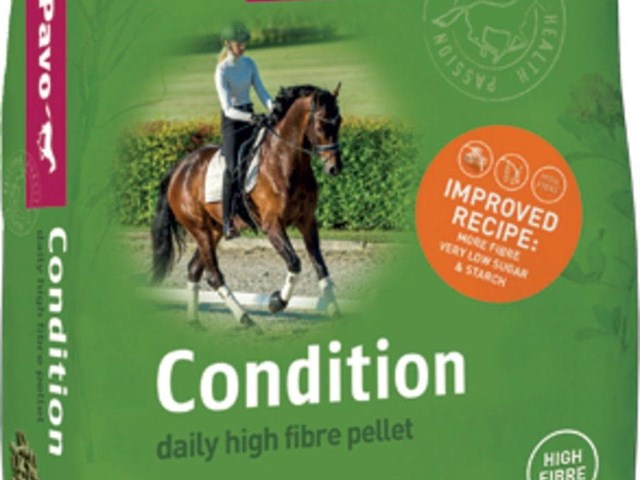 Pavo Condition 