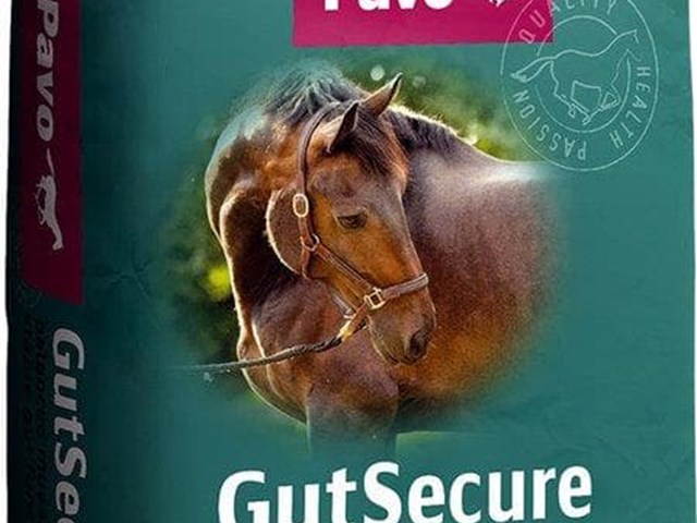 Pavo GutSecure