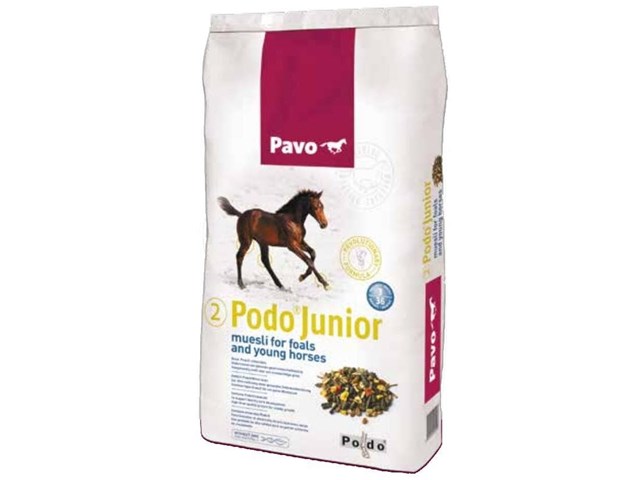 Pavo Podo Junior 