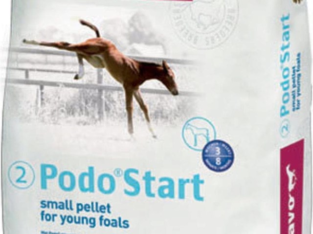 Pavo Podo Start