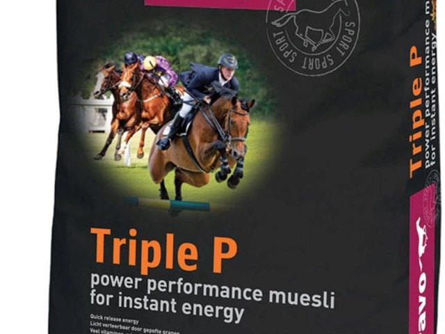 Pavo Triple P